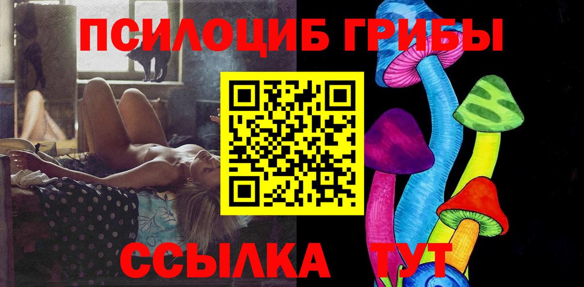 Псилоцибиновые грибы Psilocybe Губаха