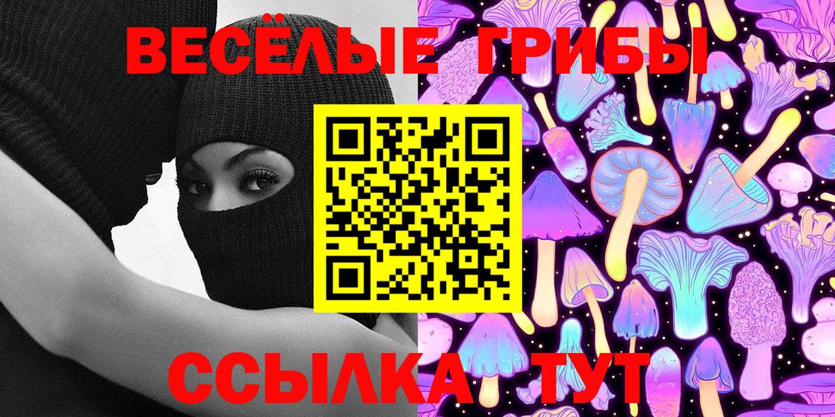 Галлюциногенные грибы прущие грибы  Вход с VPN  Губаха  Псилоцибиновые грибы GOLDEN TEACHER 